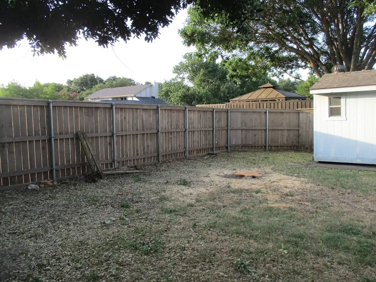 Cleared yard after professional tree removal in Watkins Glen