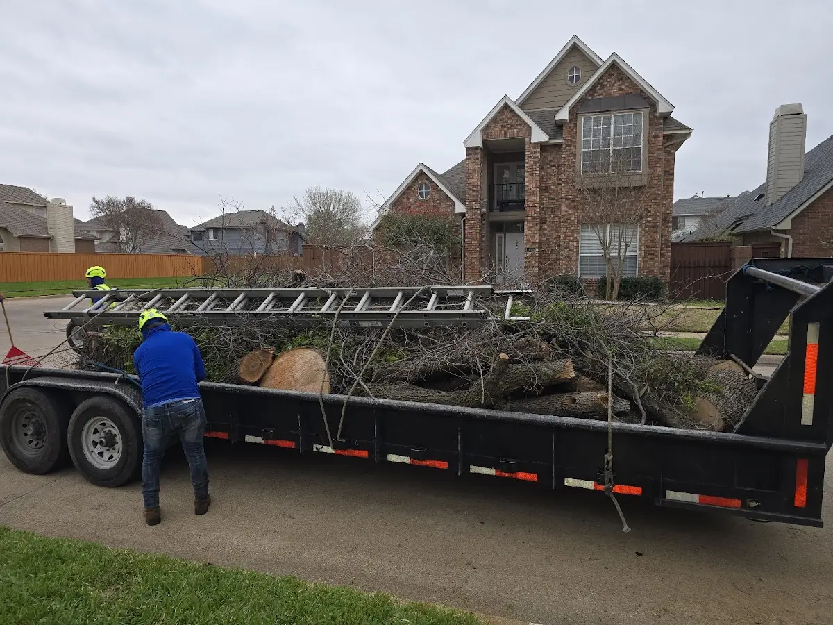 Expert Tree Pest Control with proper safety equipment in Watkins Glen